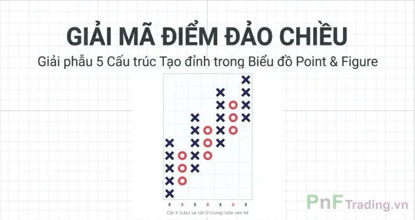 Giải mã điểm đảo chiều: 5 cấu trúc tạo Đỉnh trong Biểu đồ Point and Figure